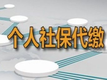 成都社保代理服务 专业代缴五险，助力企业与个人无忧发展